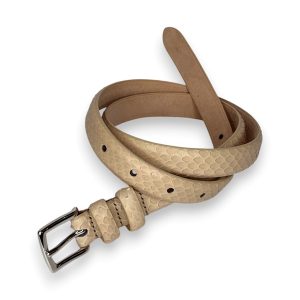 Cintura s pitone