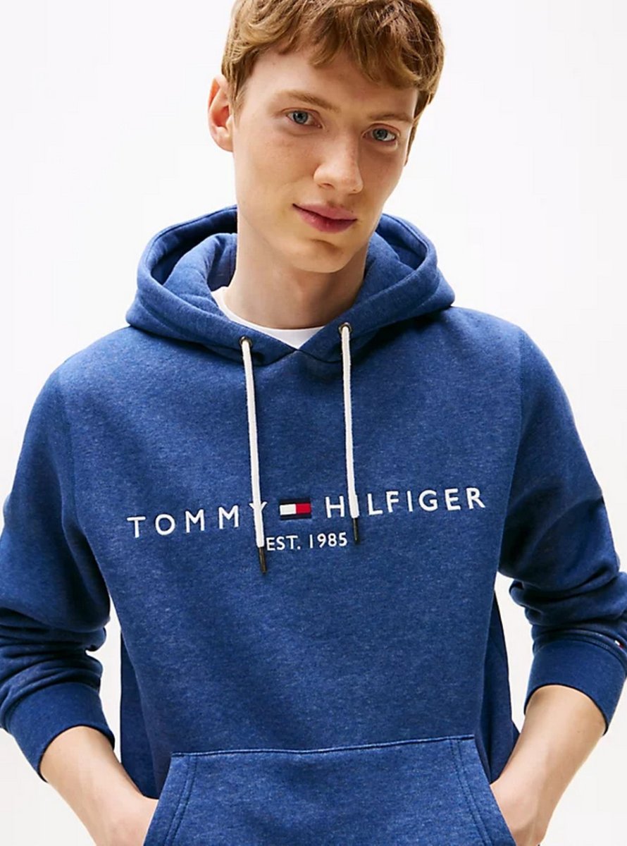 Felpe – Tommy Logo hoody Aegean Sea Heather - immagine 3